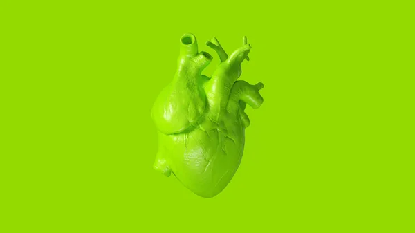 Green Anatomical Heart Concept Illustration Render — Stock Photo, Image