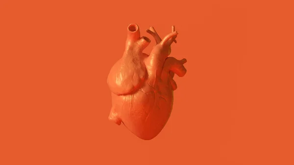 Orange Anatomical Heart Concept Ilustración Render —  Fotos de Stock