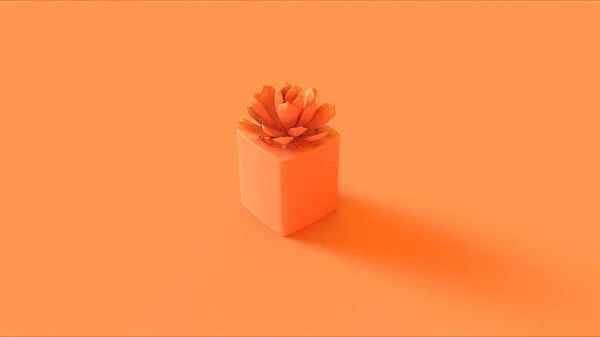 Orange Succulente Illustration Rendu — Photo