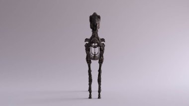 Black Iron Horse Skeletal System Anatomical Model Front View 3d illustration 3d render clipart
