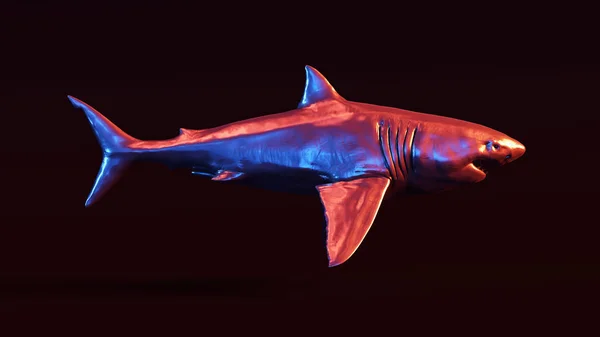 Silver Great White Shark Red Blue Moody 80S Lighting Front — Stock Photo, Image