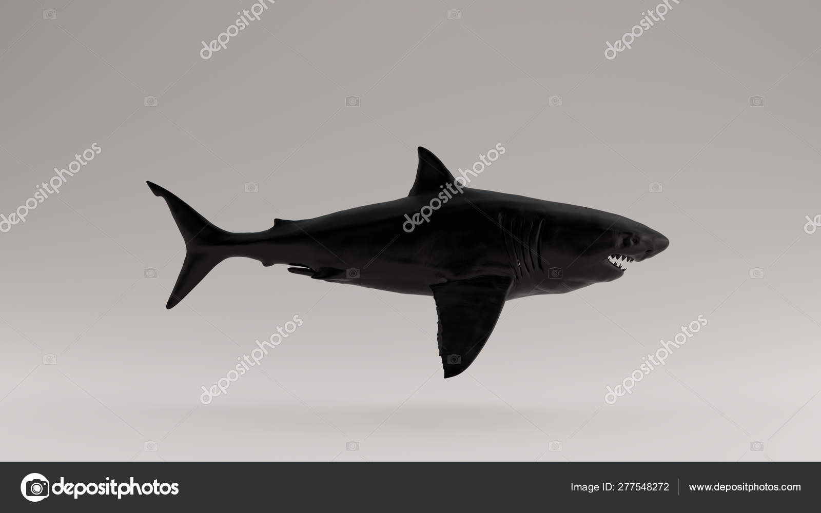 Black Great White Shark Right View Illustration Render Stock Photo C 80schild 277548272