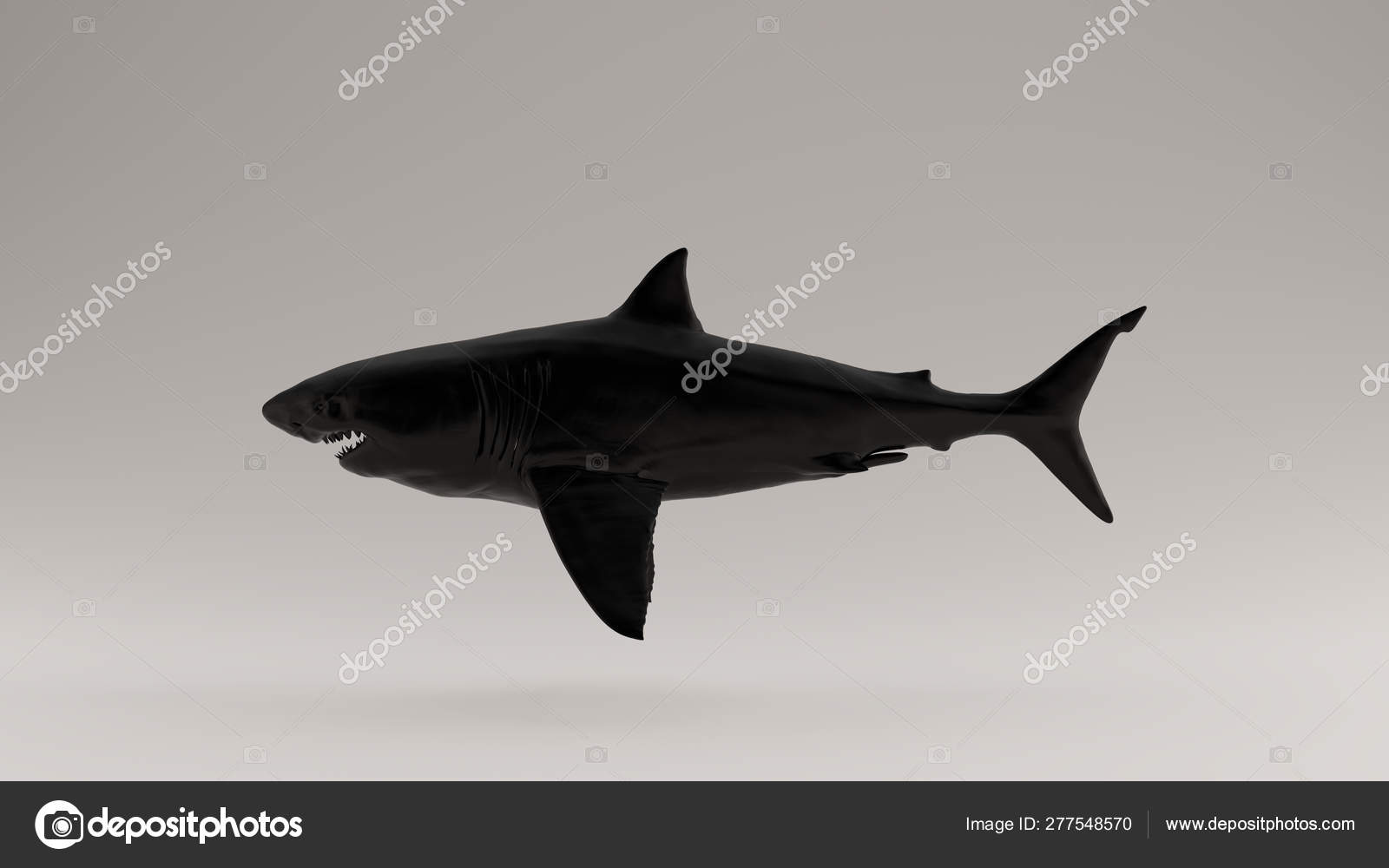 Black Great White Shark Left View Illustration Render Stock Photo C 80schild 277548570
