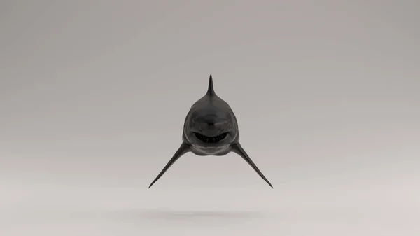 Black Great White Shark Front View Illustration Render — Stock Photo, Image