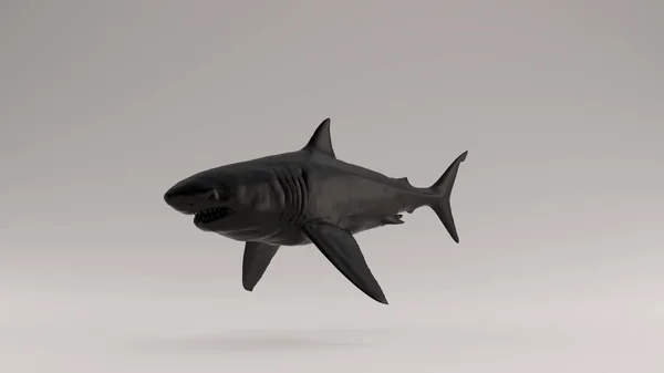 Siyah Büyük Beyaz Köpekbalığı Çeyrek Sol Görünüm Illüstrasyon Render — Stok fotoğraf