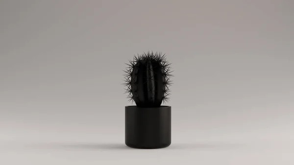 Plante Cactus Noir Dans Pot Illustration Rendu — Photo