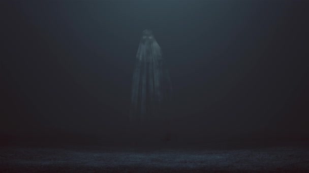 Walking Evil Spirit Foggy Void Animation — Stock Video