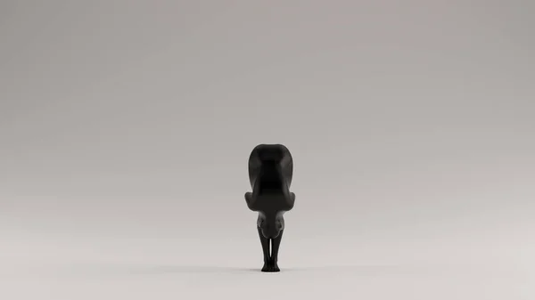 Чорна Жінка Йога Вперед Зігніть Положення Загорнутий Чорний — стокове фото