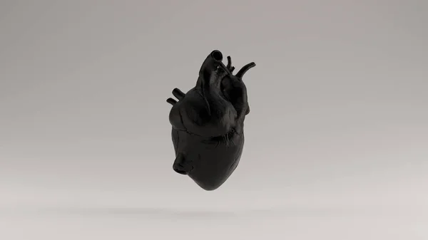 Black Heart Anatomical Ilustrație Render — Fotografie, imagine de stoc