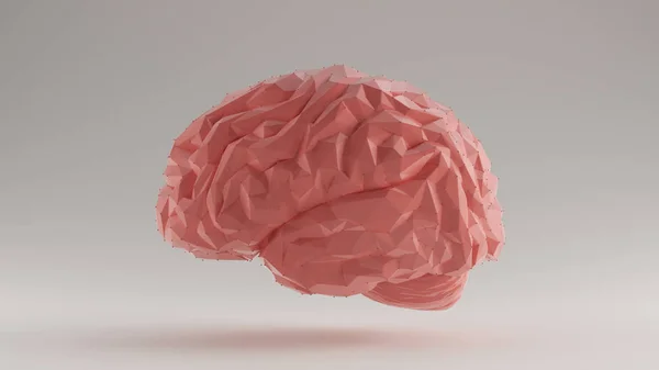 Cerebro Rosa Futurista Inteligencia Artificial Polígono Izquierda Vista Ilustración Render — Foto de Stock