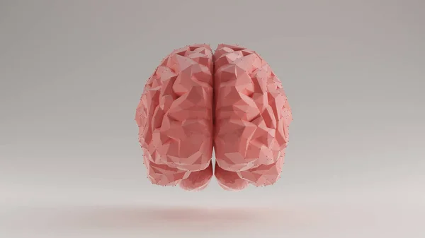 Mózg Różowy Futurystyczny Sztuczna Inteligencja Wielokąt Przód Widok Ilustracja Render — Zdjęcie stockowe