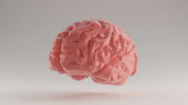 Мозок Рожевий Футуристичний Штучний Інтелект Багатокутник Чверті Спереду Ліворуч Вид — стокове фото