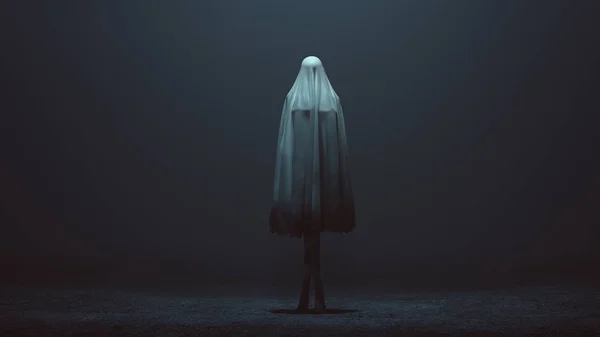 Стенд Злого Призрака Спирита Сложенными Ногами Руками Предсмертном Одеяле Туманной — стоковое фото