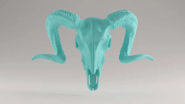 Gulf Blue Turquoise Ram Skull Vista Frontal Ilustración — Foto de Stock