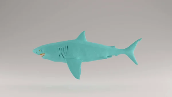 Golfe Bleu Turquoise Orange Grand Requin Blanc — Photo