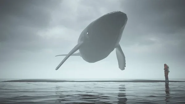 스러운 혹등고래와 과검은 삽화로 둘러싸여 — 스톡 사진