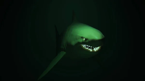 Gran Tiburón Blanco Bajo Agua Con Brillantes Ojos Blancos Ciencia —  Fotos de Stock