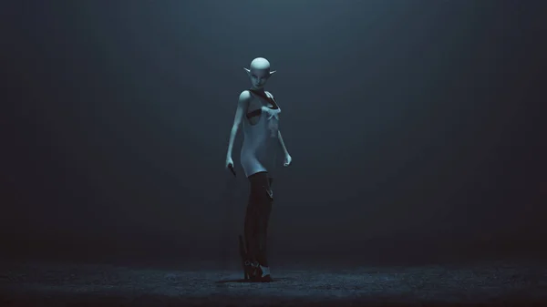 Futuristic Dark Elf Dengan Pedang Dan Cyborg Kaki Ilustrasi — Stok Foto