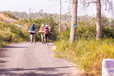 Üç turist backpackers arkadaşlar arkadan görünüm yürüyüş yürüme asfalt yol, ağaç, Turizm İsrail işaretleme renkli nasıl yönlendirdiğini işareti.