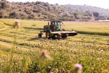 Traktör araç çalışma tarım ot ot alan, bahar yaz hasat zamanı, İsrail.