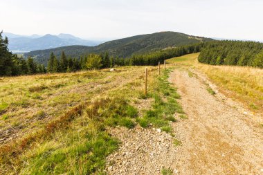 Dağlar sarı çayır iz patika yol görünümü manzara orman. Slovenya seyahat yerler, turizm, Kope Kayak Merkezi, Europe backpacking hiking.