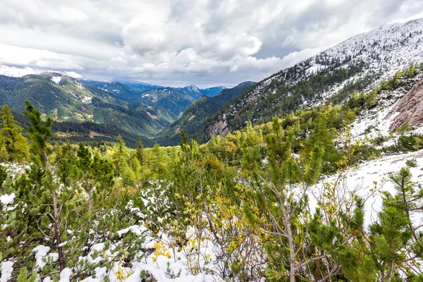 Χιόνι Κάλυψε Storzic Λόφους Βουνά Δάσος Προβολή Όμορφο Τοπίο Σλοβενία — Φωτογραφία Αρχείου