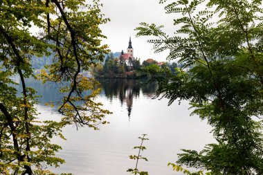 Bina Kalesi kale, tarihi mirası binalar, turizm ünlü sonbahar görünümü bled ada Gölü kilise çan kulesi. Slovenya, Europe turizm seyahat.