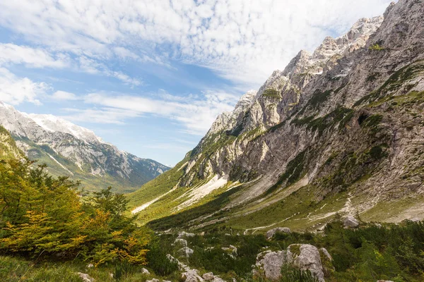 Green valley forest stone mountain slopes ridge huge walls, travel Triglav national park, beautiful landscape alpine Europe tourist destination.