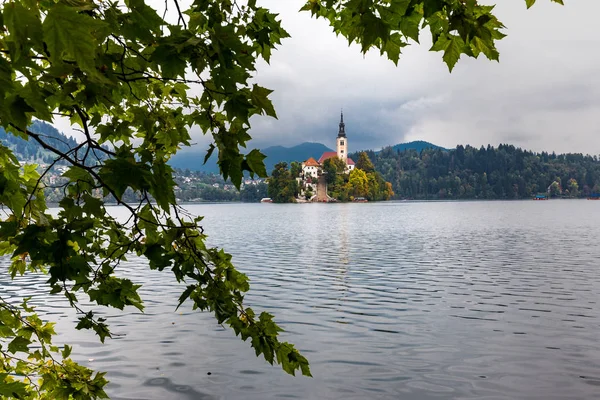 Bled Island Lake Church Steeple Building Castle Fortress Historic Heritage — Stock Photo, Image