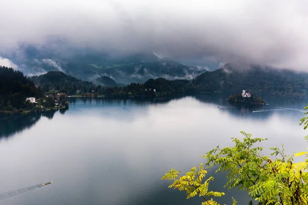 Bled Isla Lago Iglesia Campanario Edificio Castillo Fortaleza Edificios Históricos — Foto de Stock