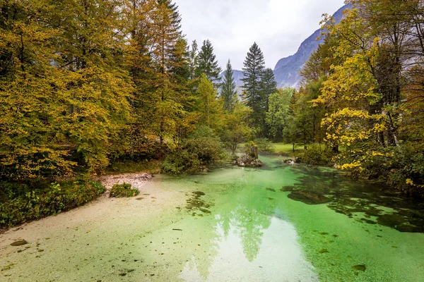 Sava Bohinjka River Stream Autumn Colorful Forest Nature Bohinj Lake — Stock Photo, Image