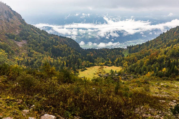 高山秋色森林景观草甸谷农村国家公园 Crna Prst 旅游美丽的斯洛文尼亚 欧洲旅游 — 图库照片
