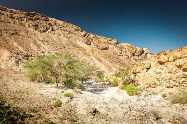 Çöl Dağ dalgalı jeolojik formu yatay, İsrail kavisli.
