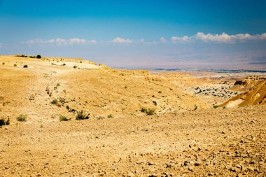 Çöl Dağ cliiffs besleme dağ keçileri sürüsü.