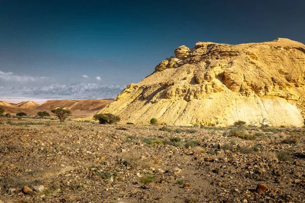 Desert montagne forme unique vue paysage, Israël nature . — Photo