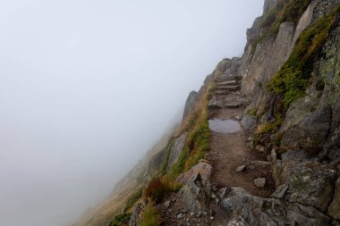 Dağ izi taş merdivenle kapalı sis birikintisi.