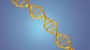 Bu sahneyi mikroskop altında görüntülenen Dna molekülleri bir koyu arka plan. Kavram moleküler biyoloji ve biyoteknoloji, Deoksiribonükleik asit genleri. 3D render.