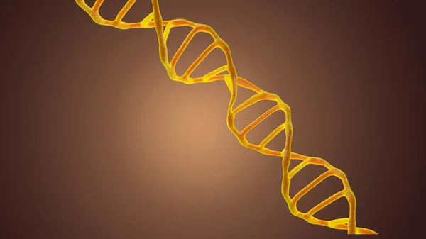 This scene viewed under a microscope the molecules DNA on a the Dark background. The Concept molecular biology and biotechnology, Deoxyribonucleic acid genomes. 3D rendering.