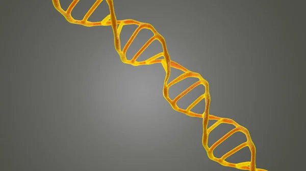 Bu sahneyi mikroskop altında görüntülenen Dna molekülleri bir koyu arka plan. Kavram moleküler biyoloji ve biyoteknoloji, Deoksiribonükleik asit genleri. 3D render.
