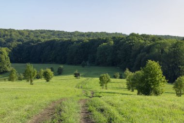 Bakony hills County'de Veszprem, Macaristan.
