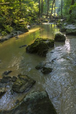 Gerence creek Bakony dağlarda, Macaristan.