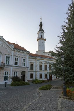Yangın Kulesi Veszprem, Macaristan.