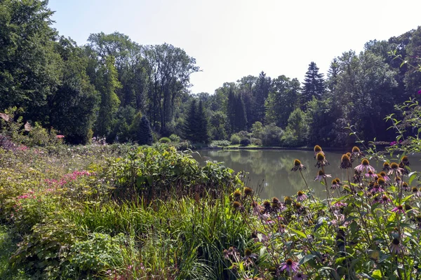 Zirc Arboretum Kreis Veszprem Ungarn — Stockfoto