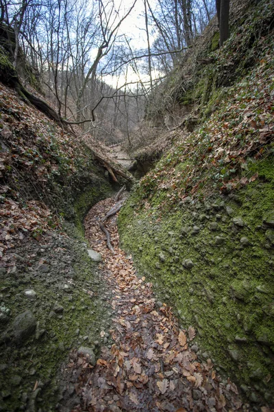 Den Kallade Holdvilag Arok Moonlight Valley Pilis Bergen Ungern — Stockfoto