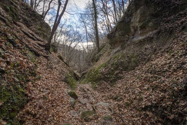 Den Kallade Holdvilag Arok Moonlight Valley Pilis Bergen Ungern — Stockfoto