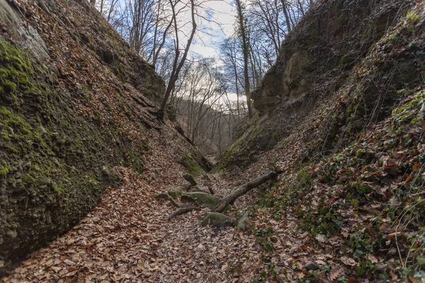 Sözde Holdvilag arok 