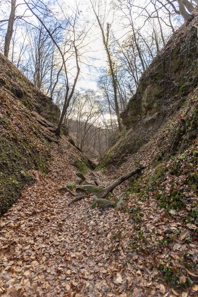 Den Kallade Holdvilag Arok Moonlight Valley Pilis Bergen Ungern — Stockfoto