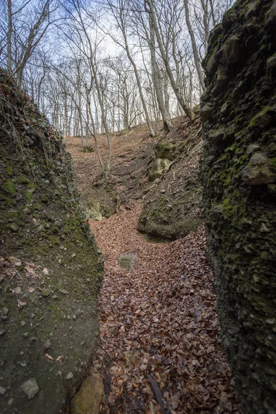 Den Kallade Holdvilag Arok Moonlight Valley Pilis Bergen Ungern — Stockfoto