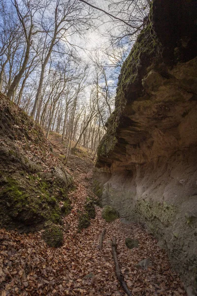 Sözde Holdvilag arok 