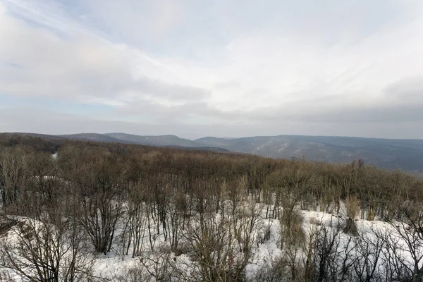 Forêt Hiver Dans Pilis Hongrie — Photo